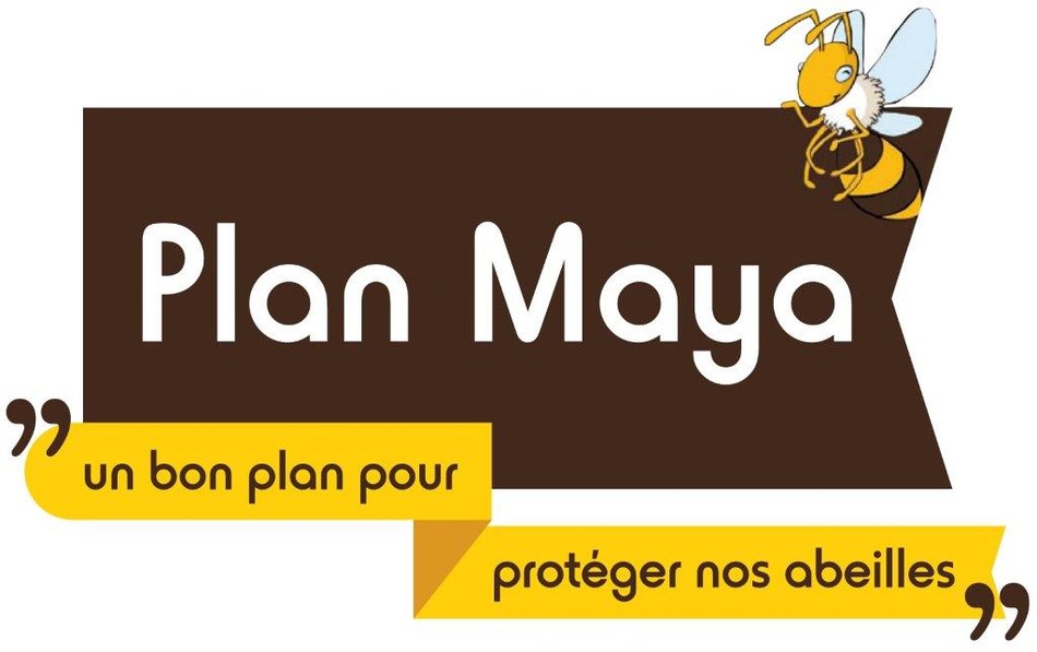 logo plan maya